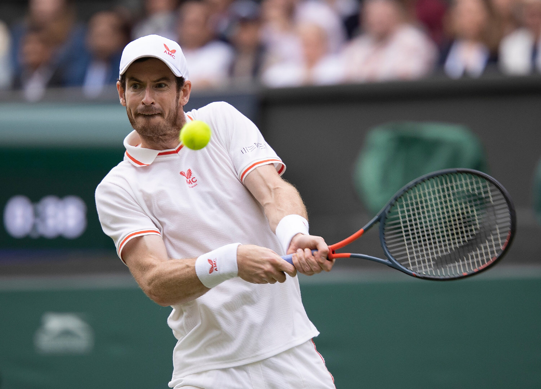 欧洲网球队绝地反击意大利网球队，穆雷高光表现的简单介绍