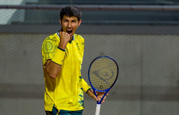 美国网球队爆冷世界网球队，瓦林卡关键制胜的简单介绍