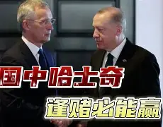 瑞典绝地反击加拿大，埃尔林送出助攻