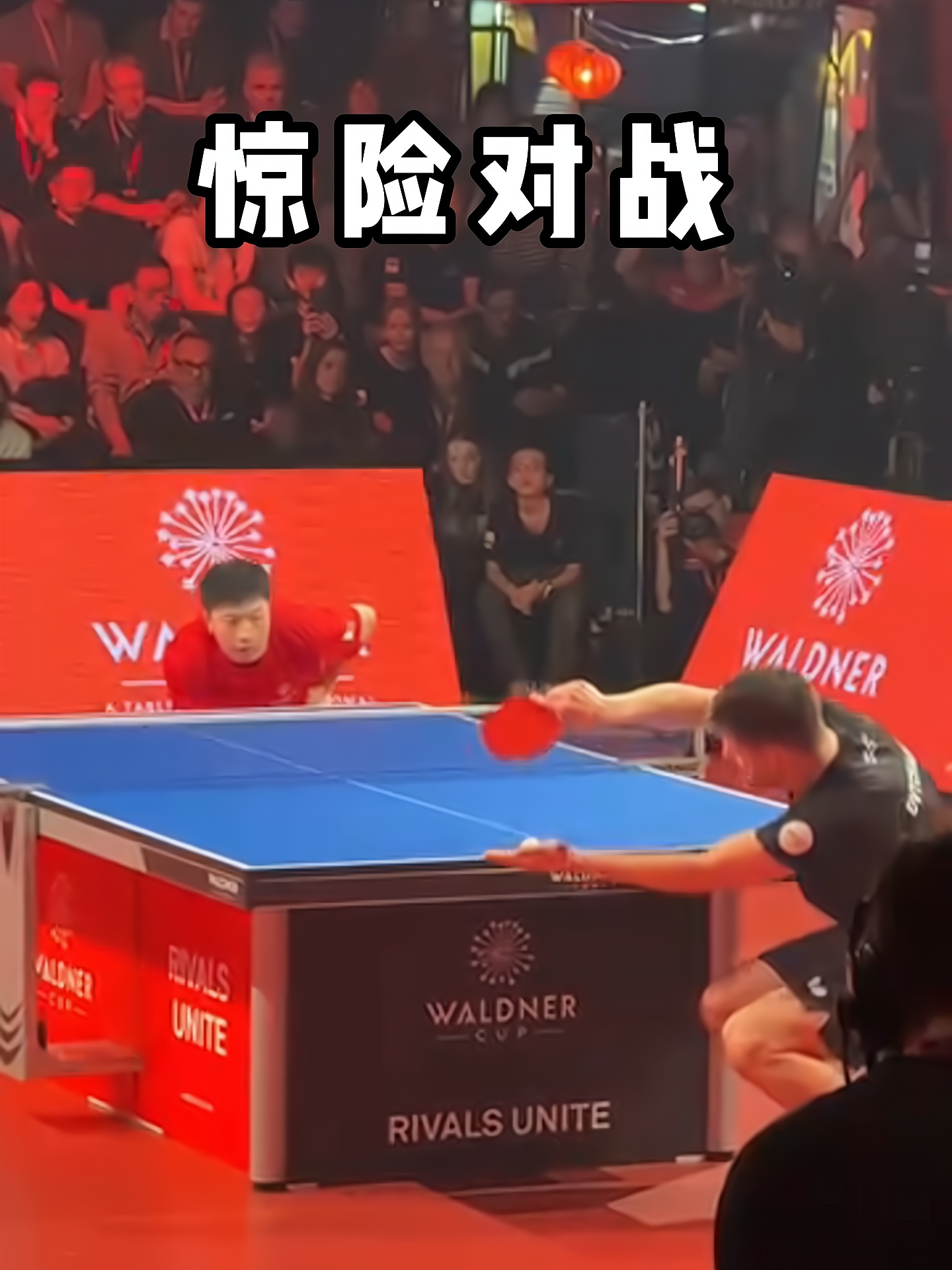 法国乒乓球队鏖战德国乒乓球队，奥恰洛夫爆发神勇的简单介绍